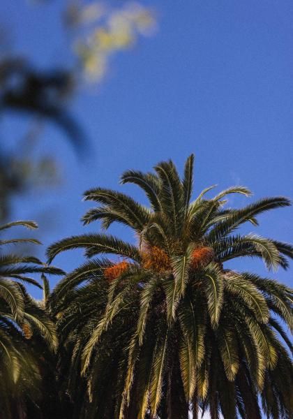 La Villa Nice Victor Hugo - Temperature standards